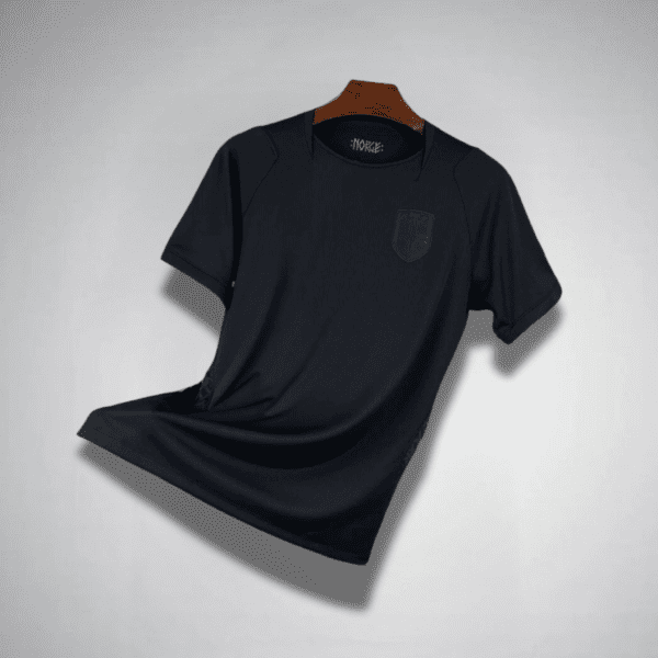 2026 Norway Home