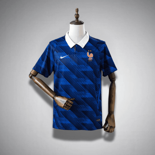 2026 France Home
