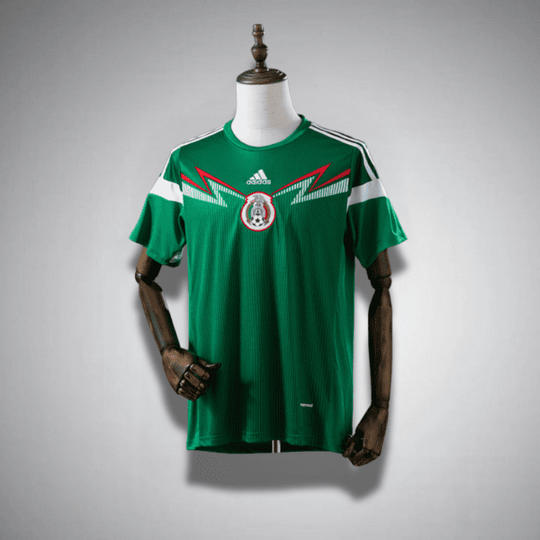 2014 Mexico Home