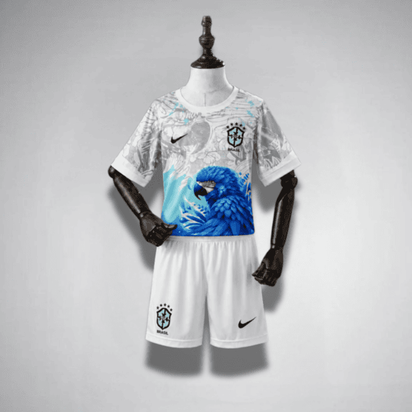 26/27 Brazil "Blue Parrot"