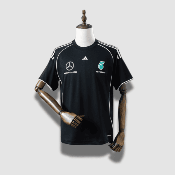 2026 Motorsports Mercedes-AMG F1 Petronas